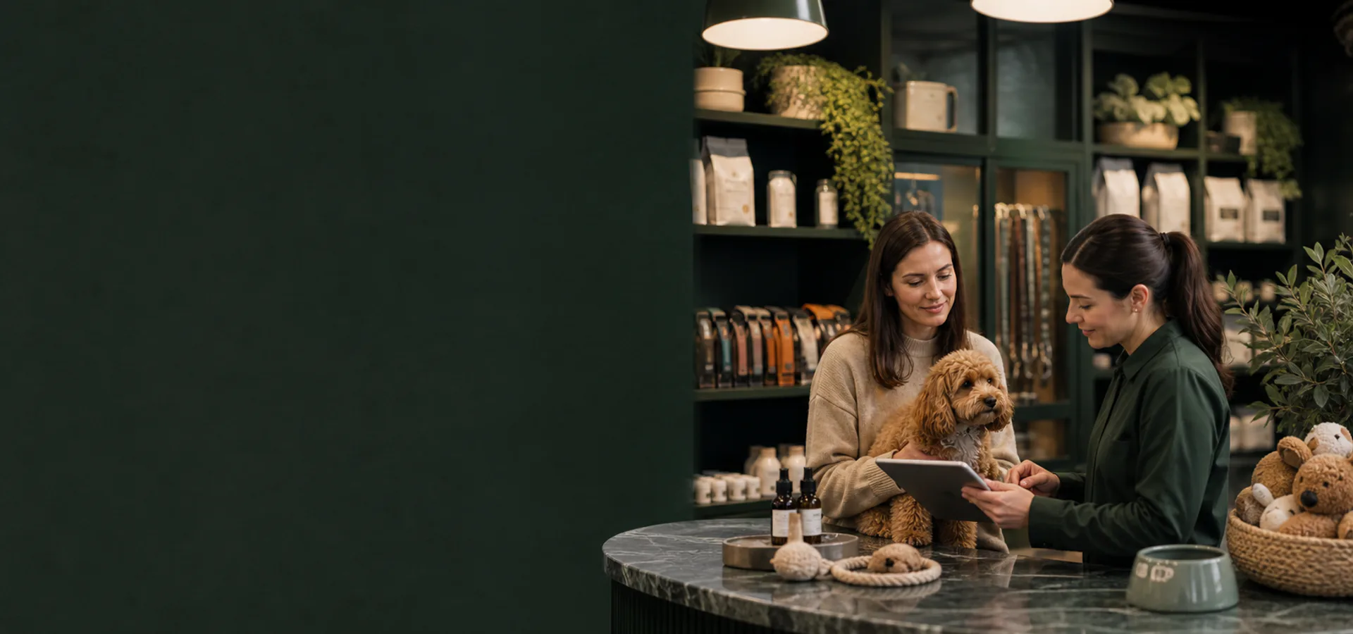 Equipe de negócio pet revisando uma venda conectada ao estoque e financeiro