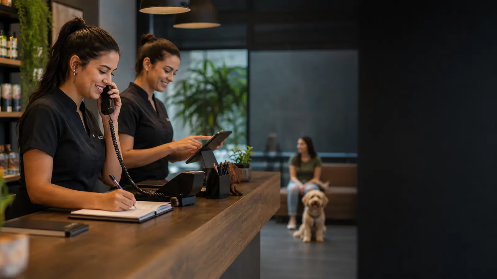 Equipe de recepção organizando processos de atendimento em um pet shop